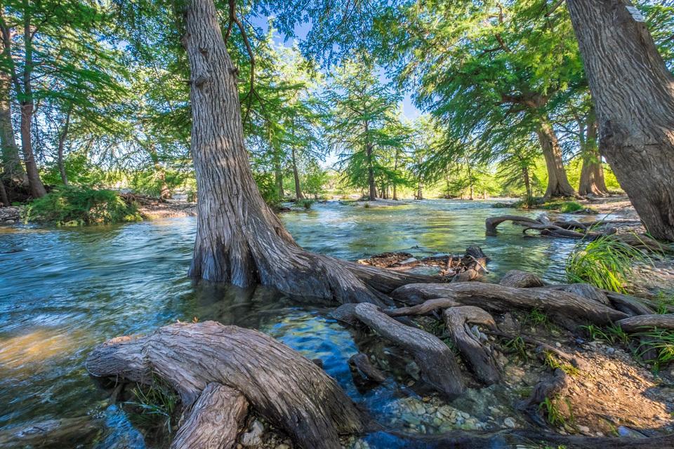 River Bluff Cabins Rio Frio Ngoại thất bức ảnh